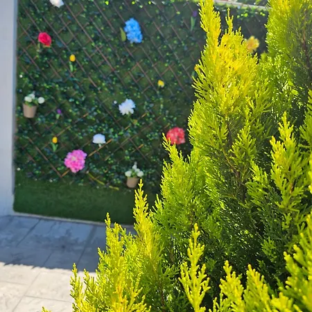 Theo Corfu Ágios Ioánnis